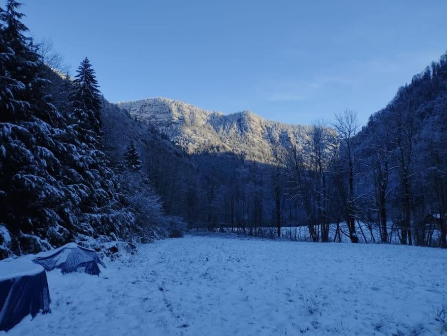 Chalet 8 Personnes + Grand Terrain Et Riviere Entremont Екстериор снимка