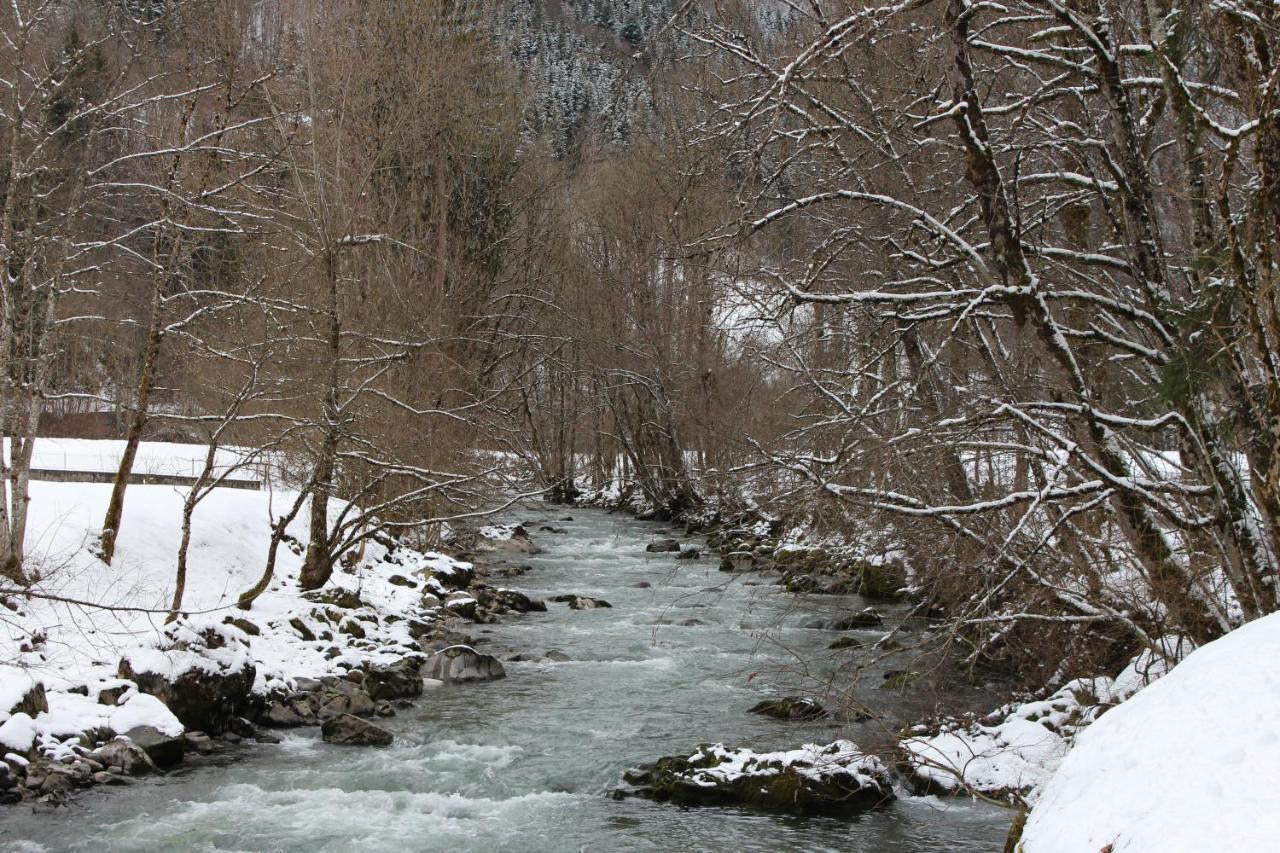 Chalet 8 Personnes + Grand Terrain Et Riviere Entremont Екстериор снимка